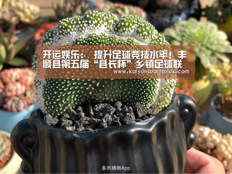 开运娱乐:
提升足球竞技水平!丰顺县第五届“县长杯”乡镇足球联赛开赛(图2) 开运登录