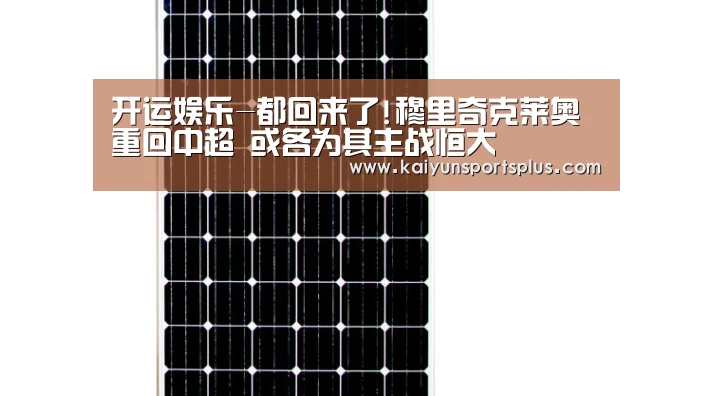 开运娱乐-都回来了!穆里奇克莱奥重回中超 或各为其主战恒大(图4) 开运赛事