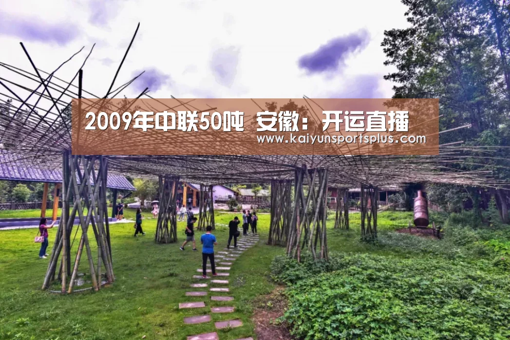 2009年中联50吨 安徽:开运直播(图7) 开运娱乐