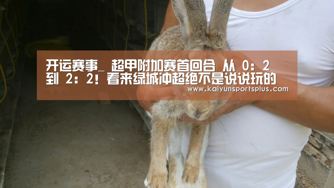 开运赛事_
超甲附加赛首回合 从 0:2 到 2:2!看来绿城冲超绝不是说说玩的(图2) 开运娱乐