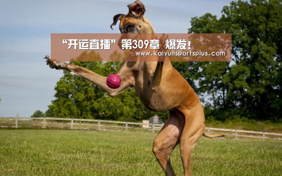 开运登录