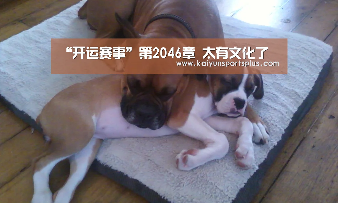 开运娱乐