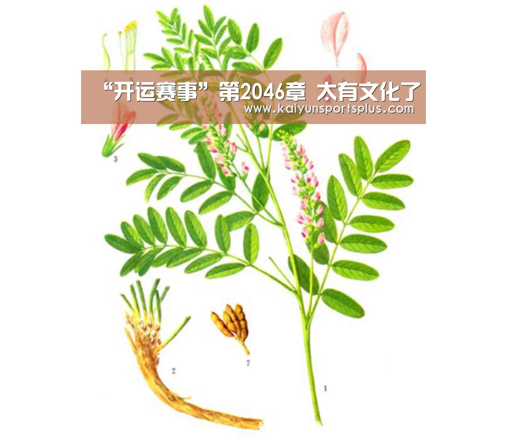 开运直播
